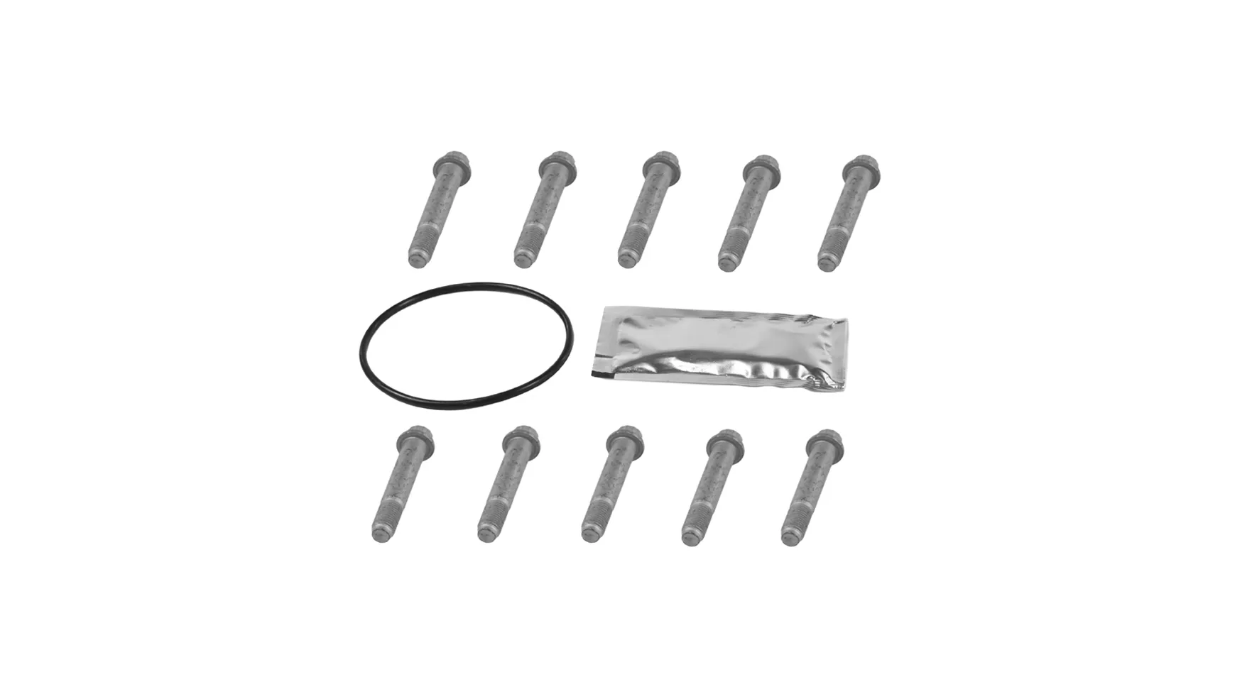 Комплект болтов крепления диска тормозного SAF (10шт+кольцо)